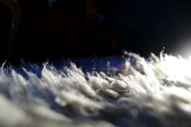 Macro photograph of a shag carpet. (2017)