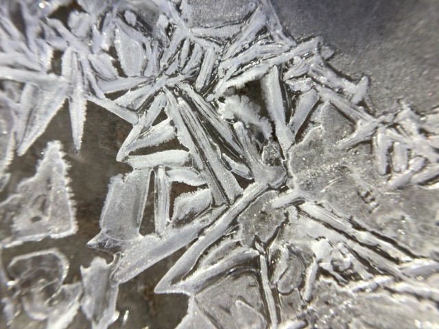Ice crystals formed overnight in cold, humid air. (2017)