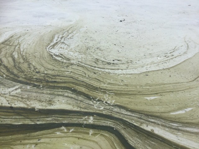 Algae deposit left behind by receding water on Siesta Beach, FL. (2017)