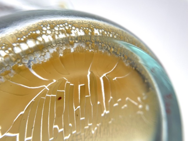 Dried-up, uncooked scrambled eggs in a glass dish, seen from underneath. (2026, color graded)