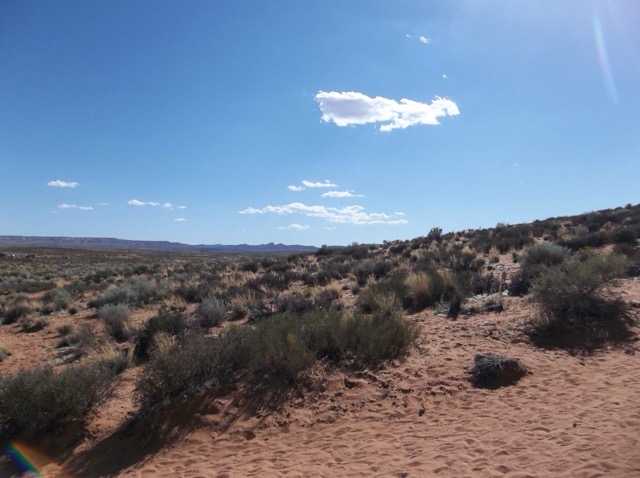 Sands of the Painted Desert, near Horseshoe Bend, AZ.