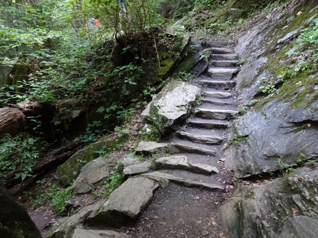 A hiking trail near Deep Creek in the Smokies.