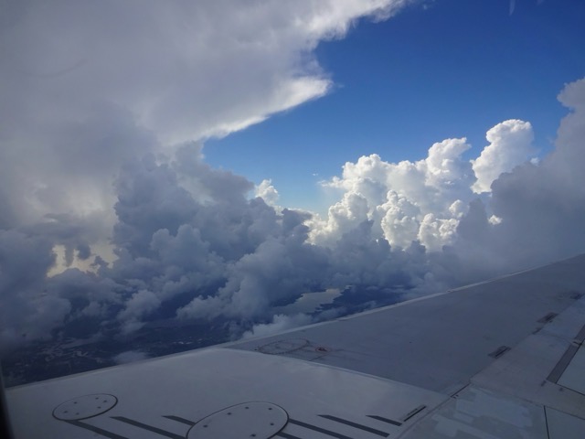 Flying back to Florida, to pick up where we left off last year.