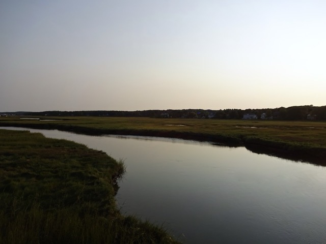 A placid evening in Rachel Carson National Wildlife Refuge, ME. (2015)