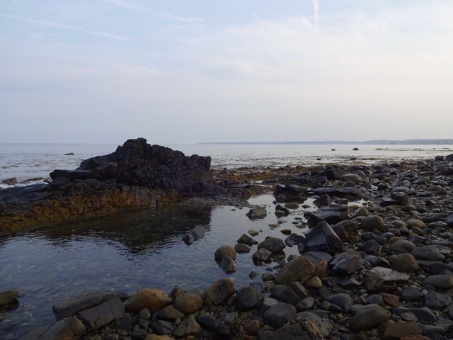 A tidal pool isolated at the low-water mark. (2015)