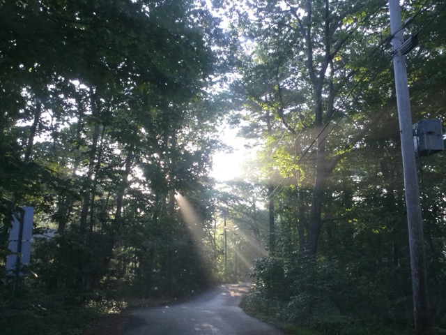 My neighborhood, well off the beaten path. (2018)